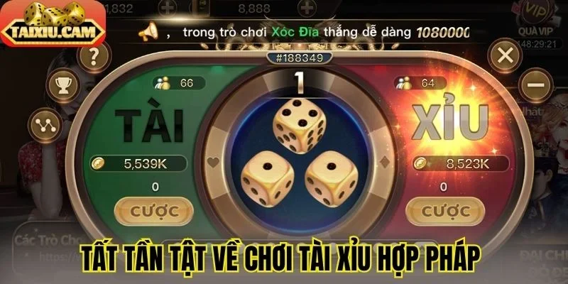 Tất tần tật về chơi tài xỉu hợp pháp 