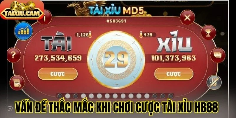 Vấn đề thắc mắc khi chơi cược tài xỉu HB88